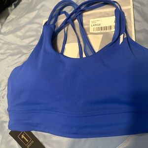 1st Phorm Blue Sports Bra
